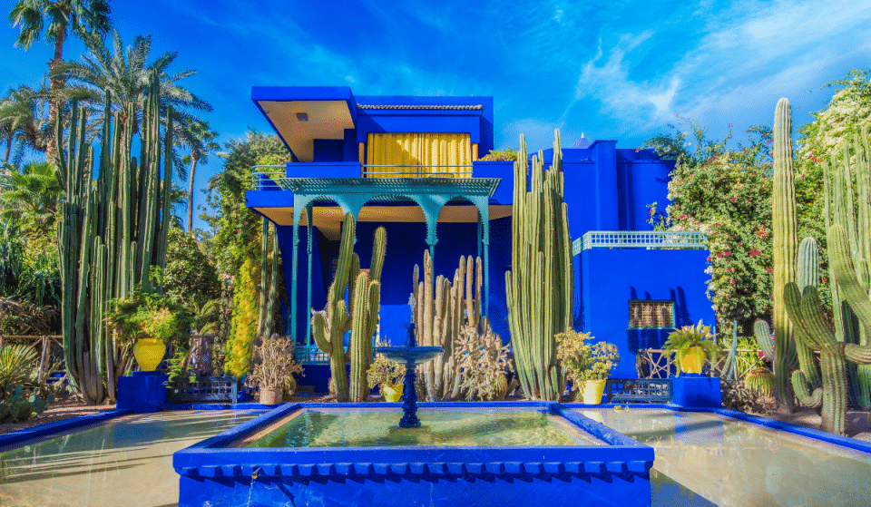 Minorelle : le salon de thé au décor exotique inspiré du jardin Majorelle !