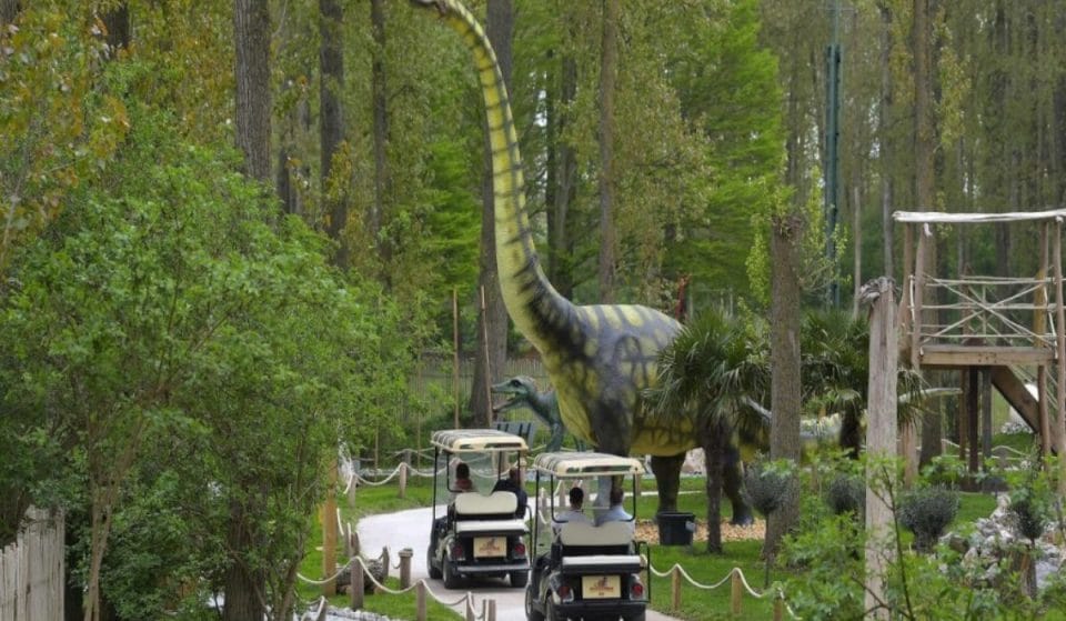 Dino Parc : un incroyable parc à thème sur les dinosaures va ouvrir à 1h de Lille !