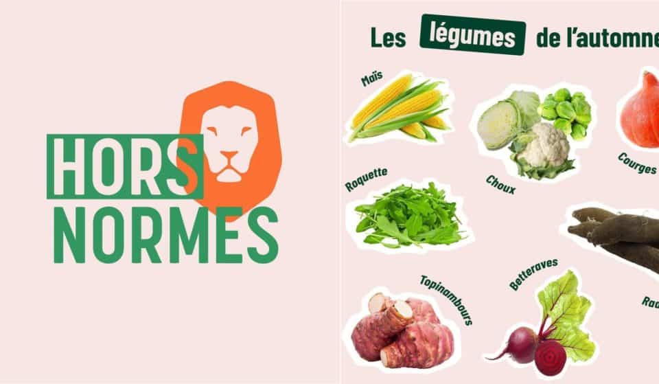 Les paniers anti-gaspi de chez Hors Normes débarquent à Lille !