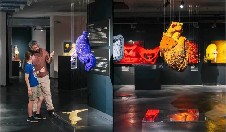 La Joconde de De Vinci, La Nuit étoilée de Van Gogh ou le Cri d’Edvard Munch : les plus grands chefs-d’œuvre reproduits avec 1 million de LEGO® lors de l’exposition « The Art of the Brick » – classée par la CNN parmi les 10 meilleures expositions