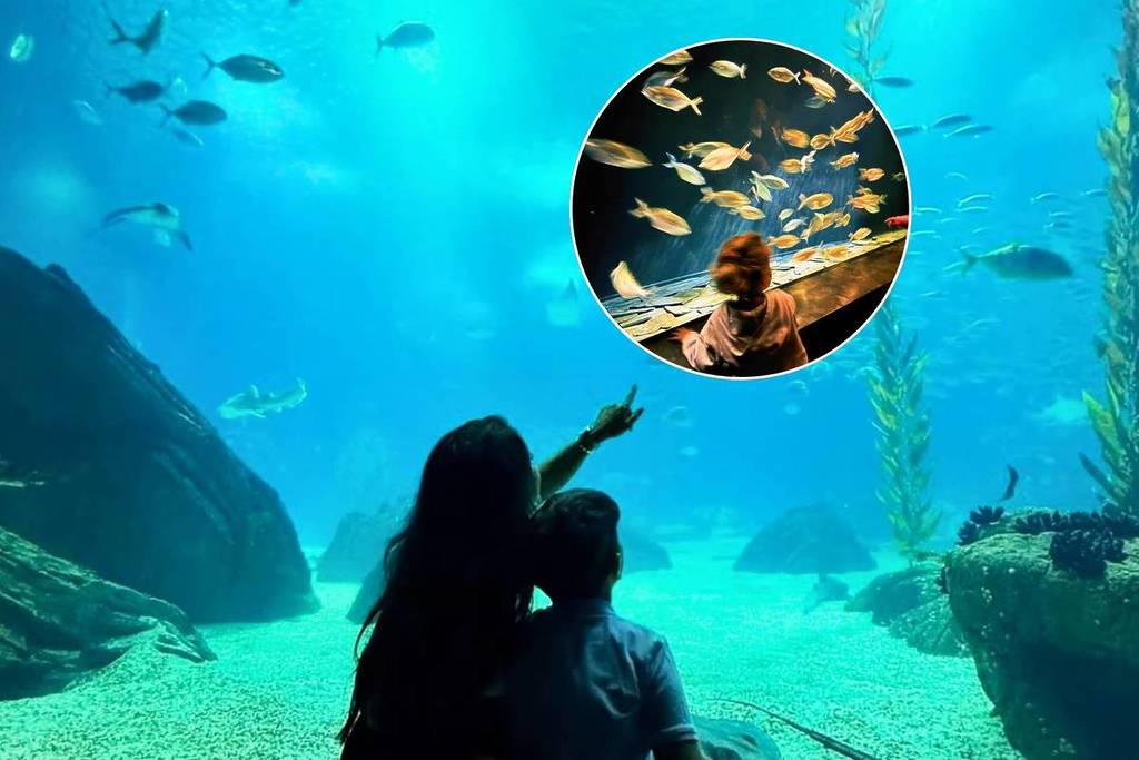 persone all'oceanário de lisboa