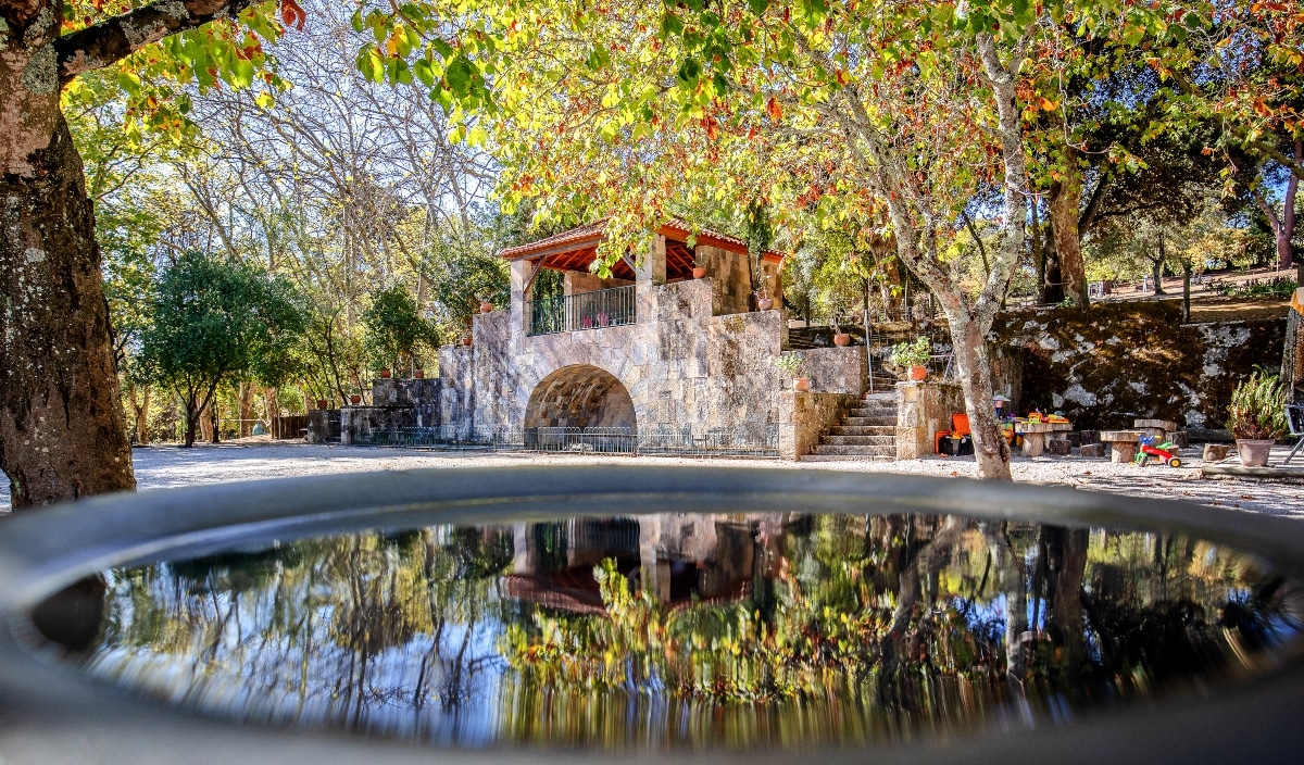 paeque bensaude candlelight