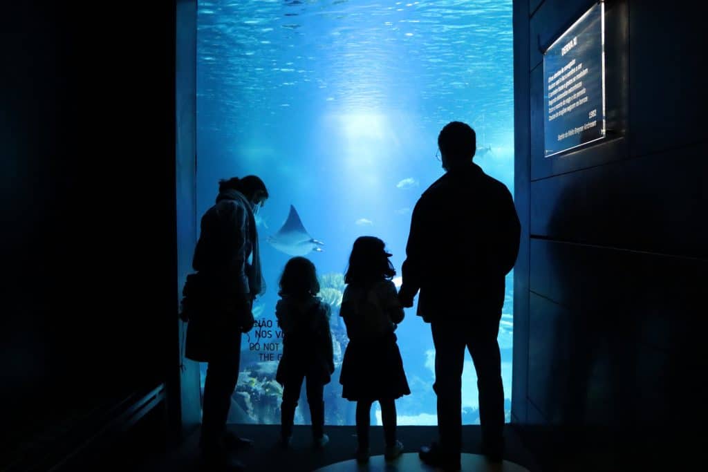 visita in famiglia all'Oceanario di Lisbona