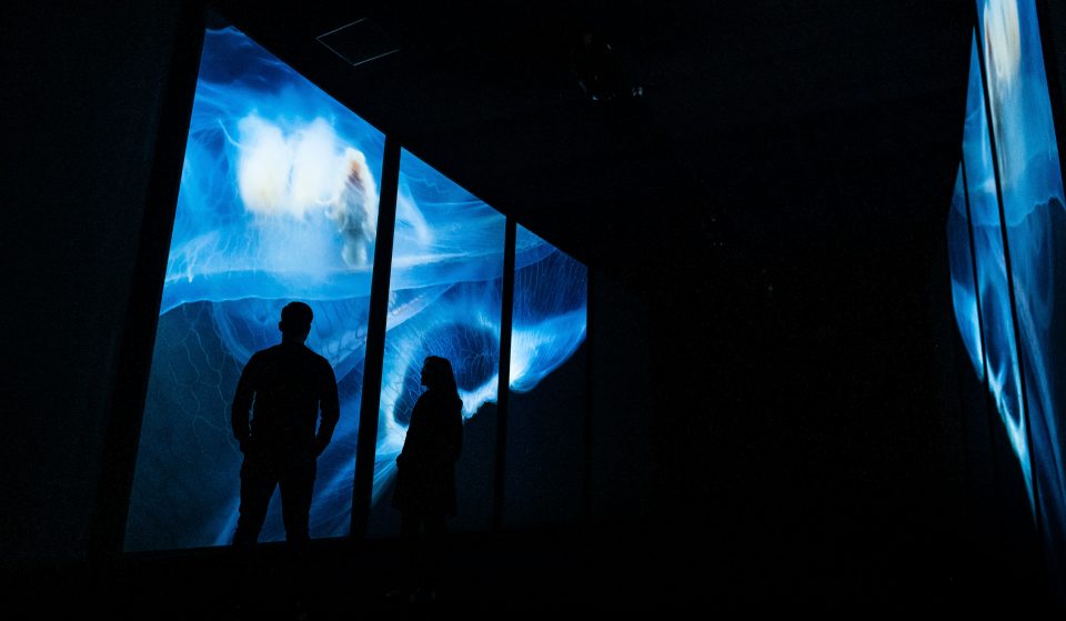 Não percas estas exposições em 2021