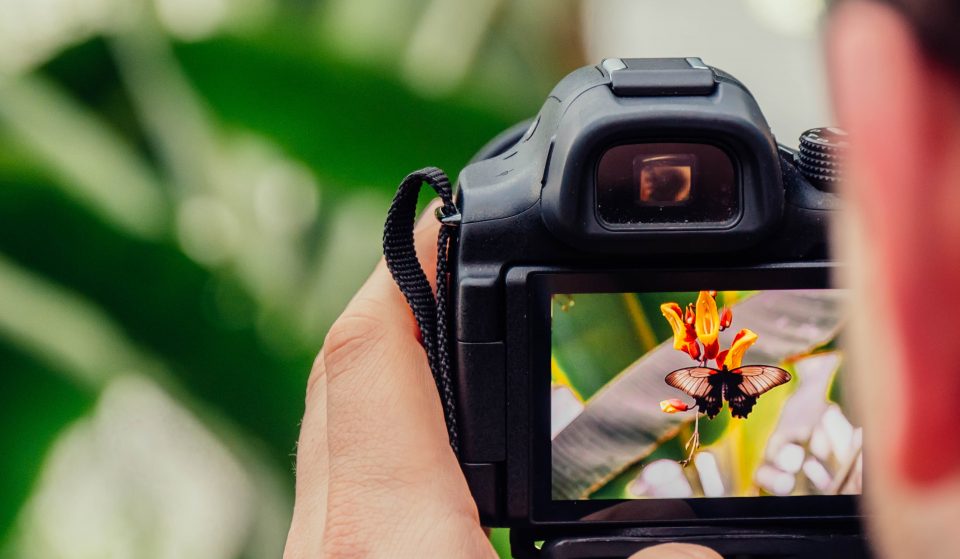 Dá um novo brilho às tuas fotografias com este curso online