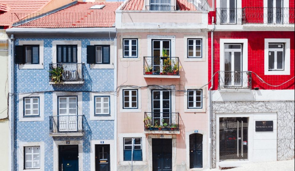 Faz da tua varanda um lugar &#8220;amigo&#8221; das abelhas