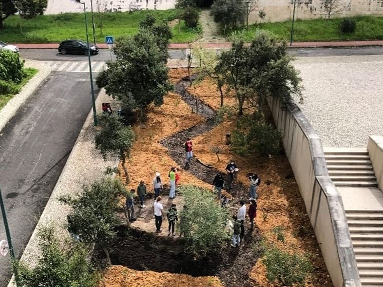 Lisboa tem uma nova mini-floresta com &#8220;hotéis&#8221; para insetos e répteis