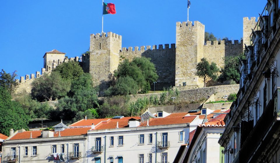 Nova espécie de catos “invade” o Castelo de São Jorge, trazidos pela nuvem de poeira do Saara