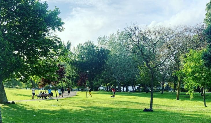 Parques em Lisboa: o guia essencial para os amantes da natureza