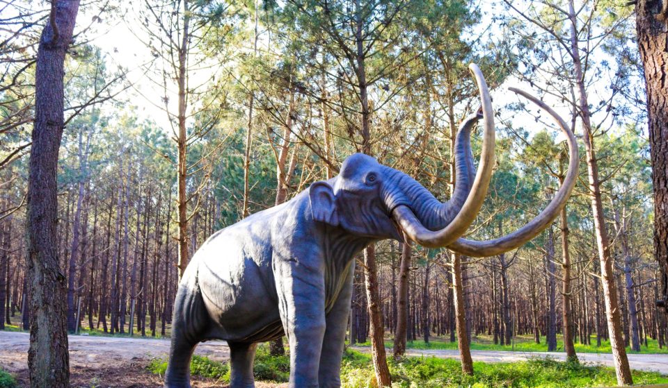 Há um novo percurso no Dino Parque Lourinhã que promete “gelar” os mais entusiastas pelo mundo jurássico