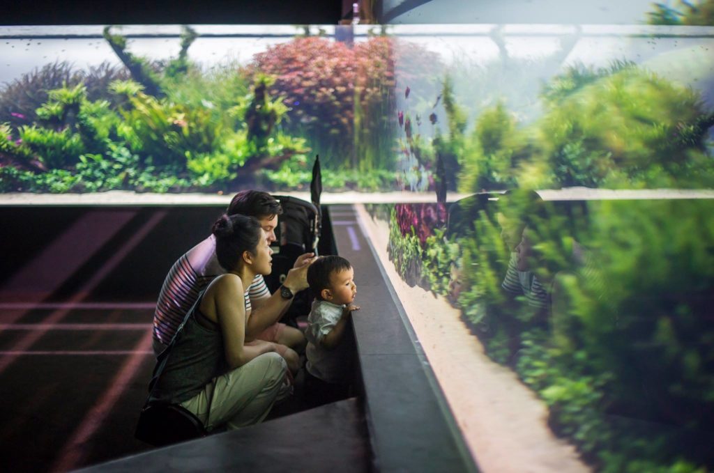 persone che visitano la mostra Florestas Submersas di Takashi Amano all'Oceanário di Lisbona