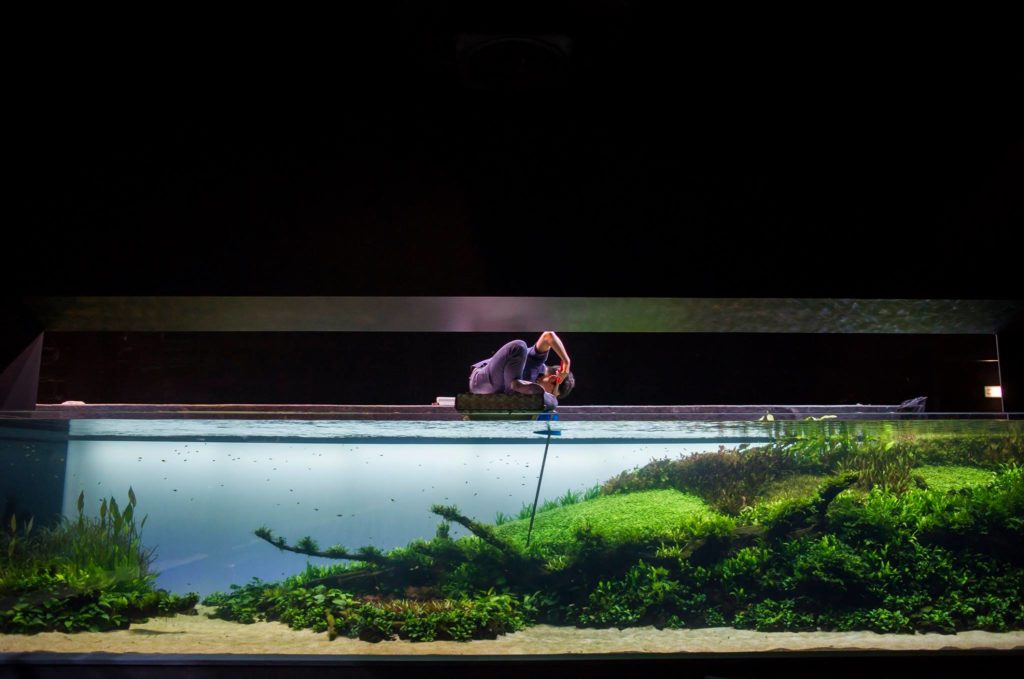 aquarista a limpar a exposição Florestas Submersas by Takashi Amano no Oceanário de Lisboa