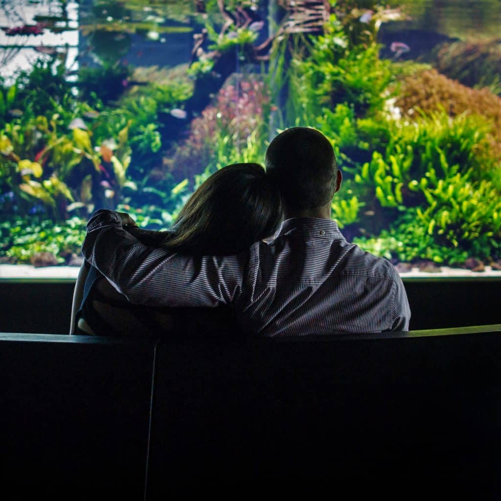 Florestas Submersas by Takashi Amano no Oceanário de Lisboa