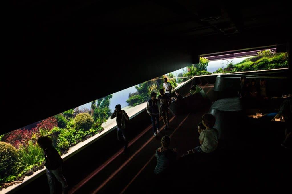 Florestas Submersas by Takashi Amano no Oceanário de Lisboa