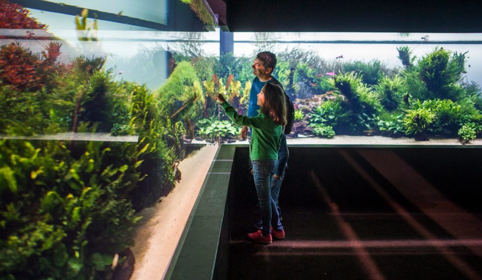 Esta exposição está em Lisboa há mais de 10 anos, e já foi visitada por 7 milhões de pessoas