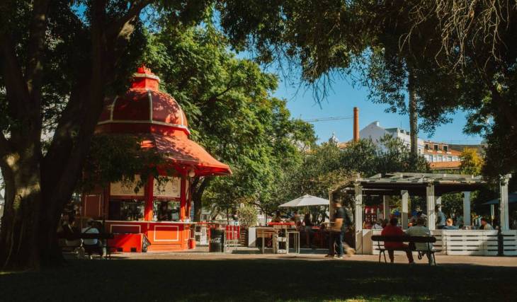 O que fazer em Lisboa durante todo o mês de novembro: dicas para os primeiros dias mais frescos