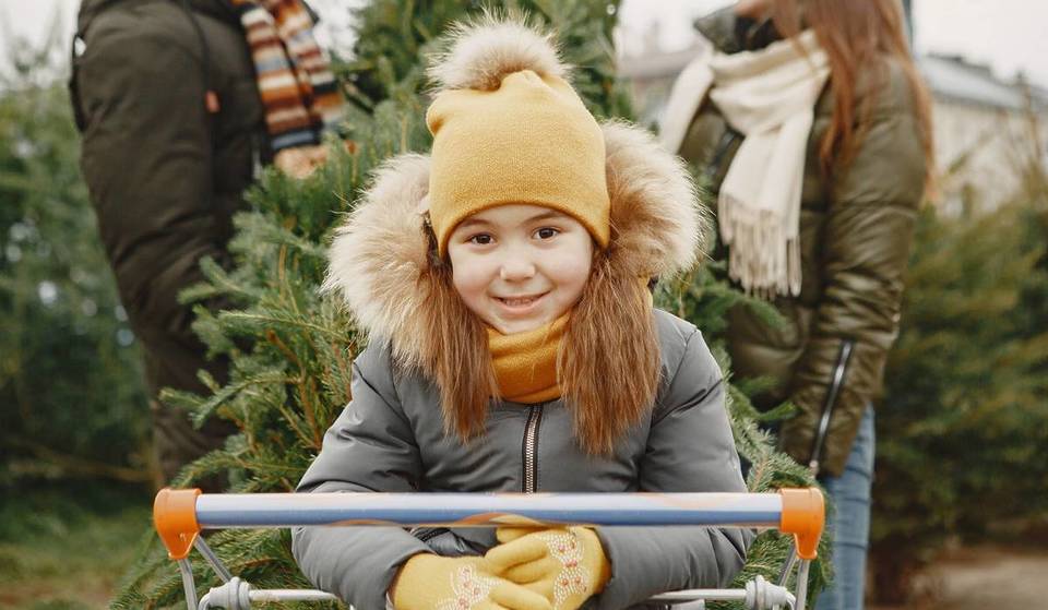 Lisbon transforms into an ice rink and musical stage: the perfect itinerary for children’s Christmas vacations