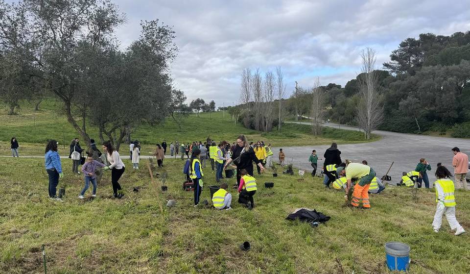 MEO KALORAMA e Quercus ajudam a reflorestar Parque da Bela Vista com 1.000 árvores