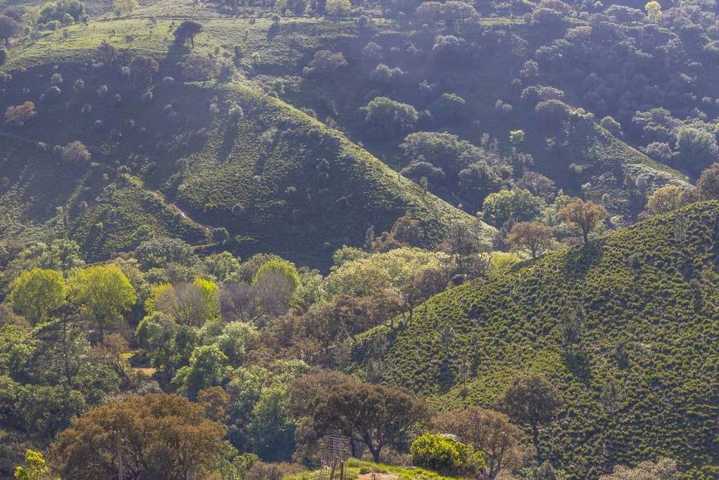 Vista para o território da Tapada Nacional de Mafra
