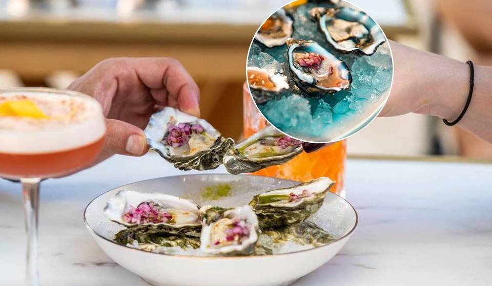 The best oysters in Lisbon: an irresistible guide to devouring the tastiest pearls of the sea at affordable prices