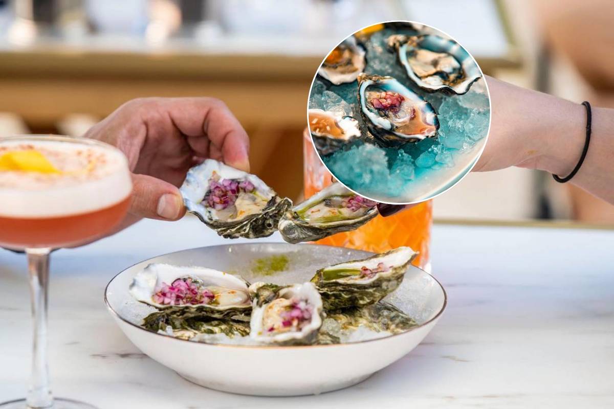 Lisbon's Ultimate Oyster Guide: Where to Find the Freshest and Most Affordable Pearls of the Sea
