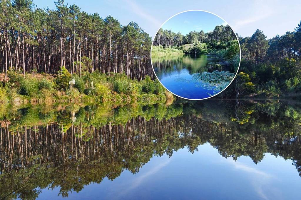 Lagoa dos Mosqueiros
