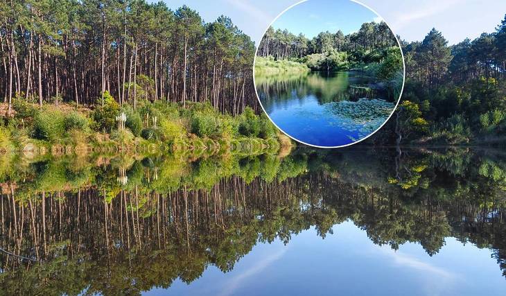 The most secret lagoon in the Serra de Sintra is less than an hour from Lisbon: almost untouched trails and absolute silence