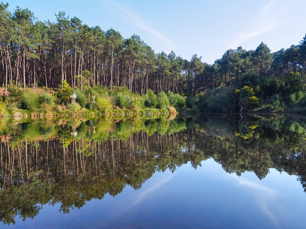 lagoa dos mosqueiros, na serra de sintra