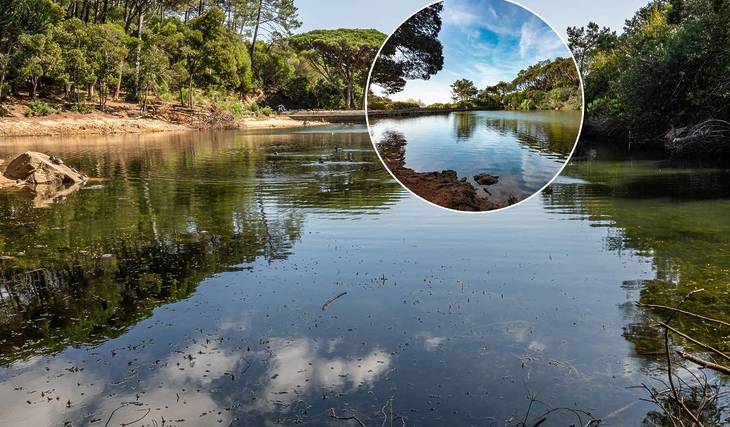 La laguna più serena della Grande Lisbona è a meno di 40 minuti dalla capitale: un&#8217;oasi di acque calme e carpe selvatiche