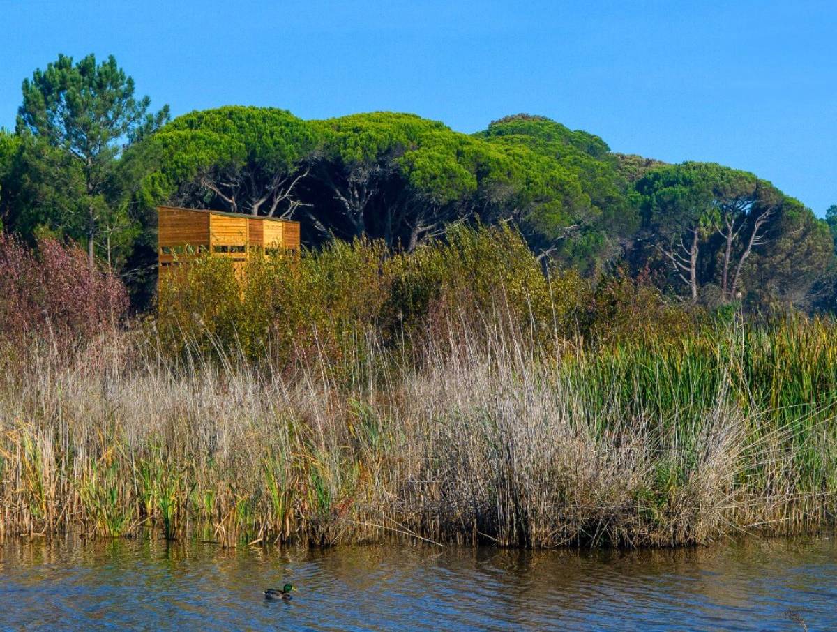 observatório de aves na Lagoa de Albufeira