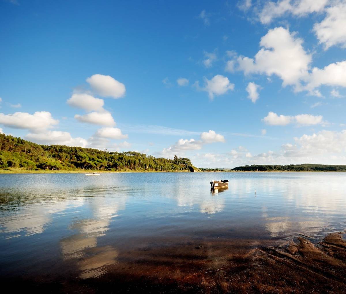 bateira, os tradicionais barcos dos mariscadores na lagoa de óbidos