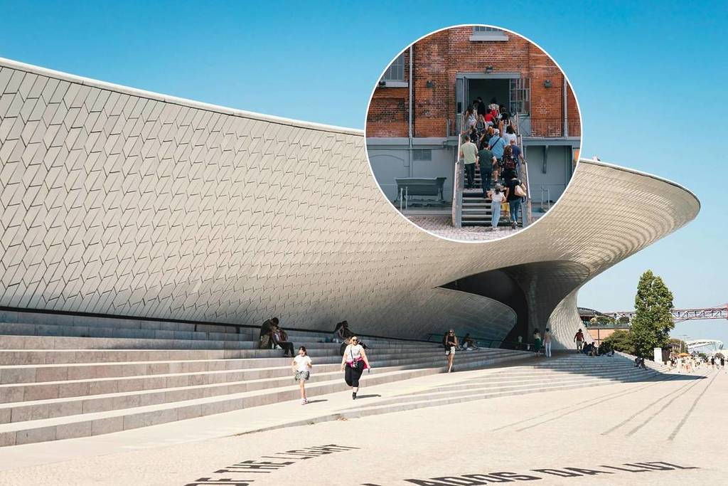 aniversário do maat