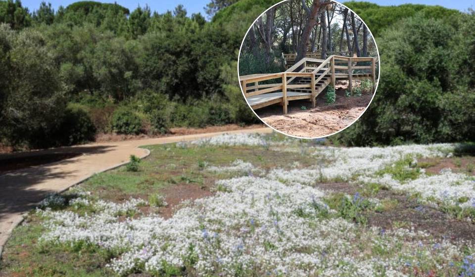 In der Nähe von Lissabon gibt es eine neue grüne Lunge, die zum Wandern einlädt und so groß ist wie acht Fußballfelder