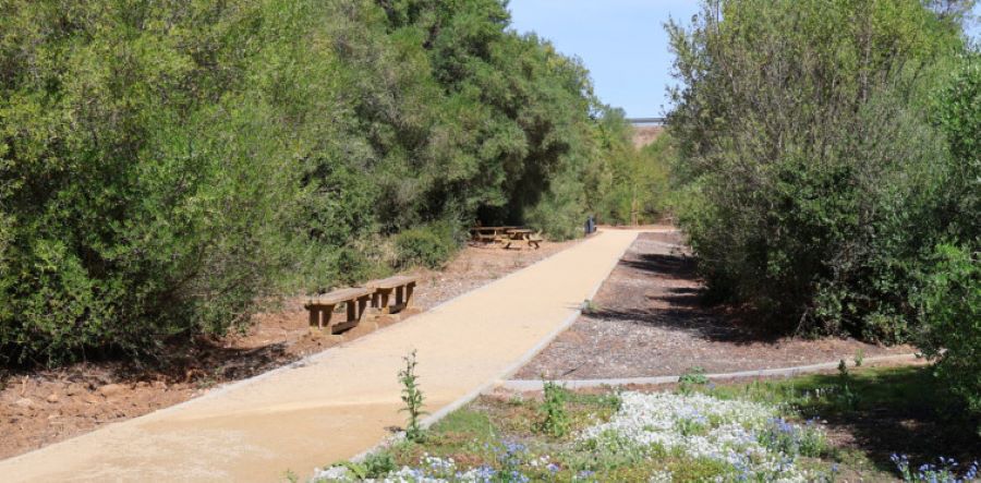 Bosque do Livramento é o novo pulmão verde da Grande Lisboa