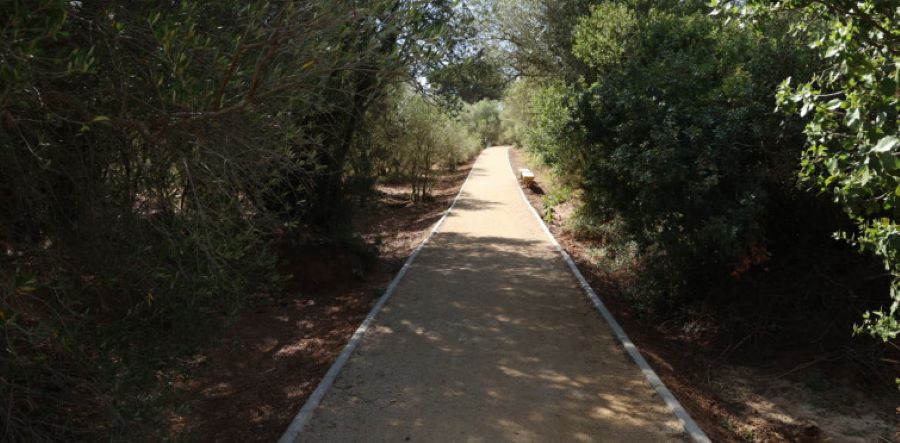 Bosque do Livramento, no concelho de Cascais