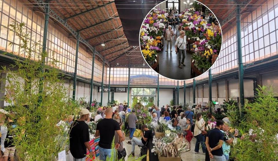 Lisboa se transformará en un jardín de orquídeas este otoño, con más de 90.000 coloridas variedades