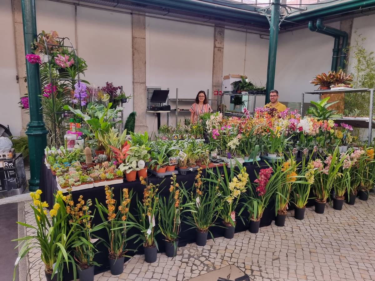 Exposição Internacional de Orquídeas de Lisboa