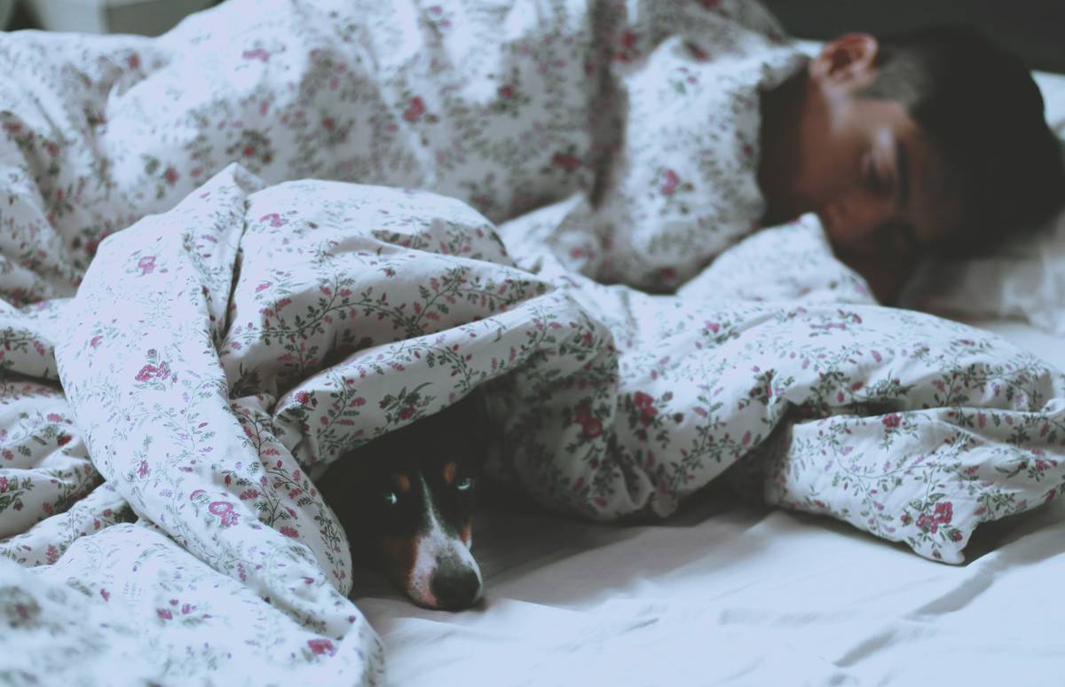 homem e cão deitados numa cama, horário de inverno