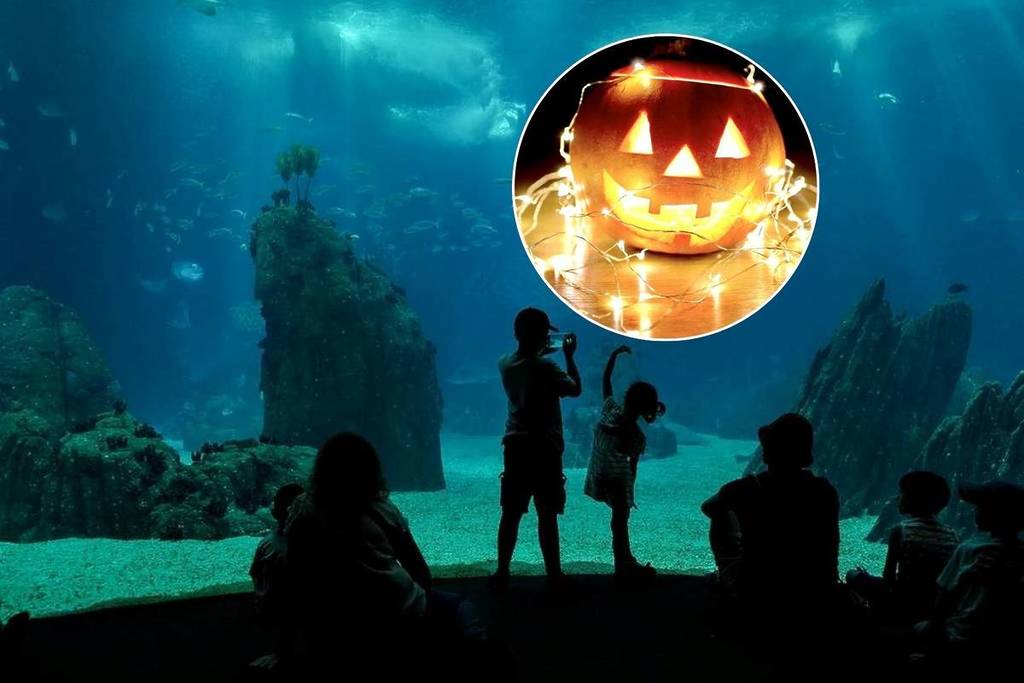 Halloweek regressa ao Ocenário de Lisboa com descontos especiais