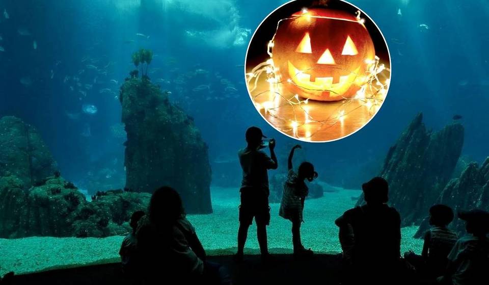 Dolcetto o scherzetto? All&#8217;Oceanário de Lisboa, Halloween dura una settimana intera (e con biglietti a prezzo speciale)