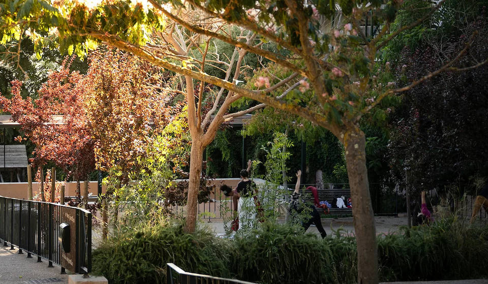 Estufa Fria e altri 9 spazi: i nuovi orari di apertura invernale dei giardini e dei parchi di Lisbona di cui dovete prendere nota