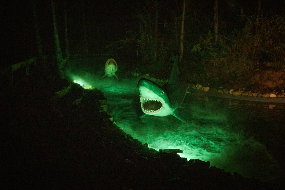 noites jurássicas no dino parque lourinhã