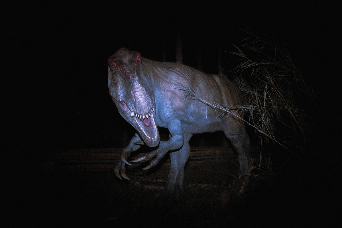 noites jurássicas no dino parque lourinhã