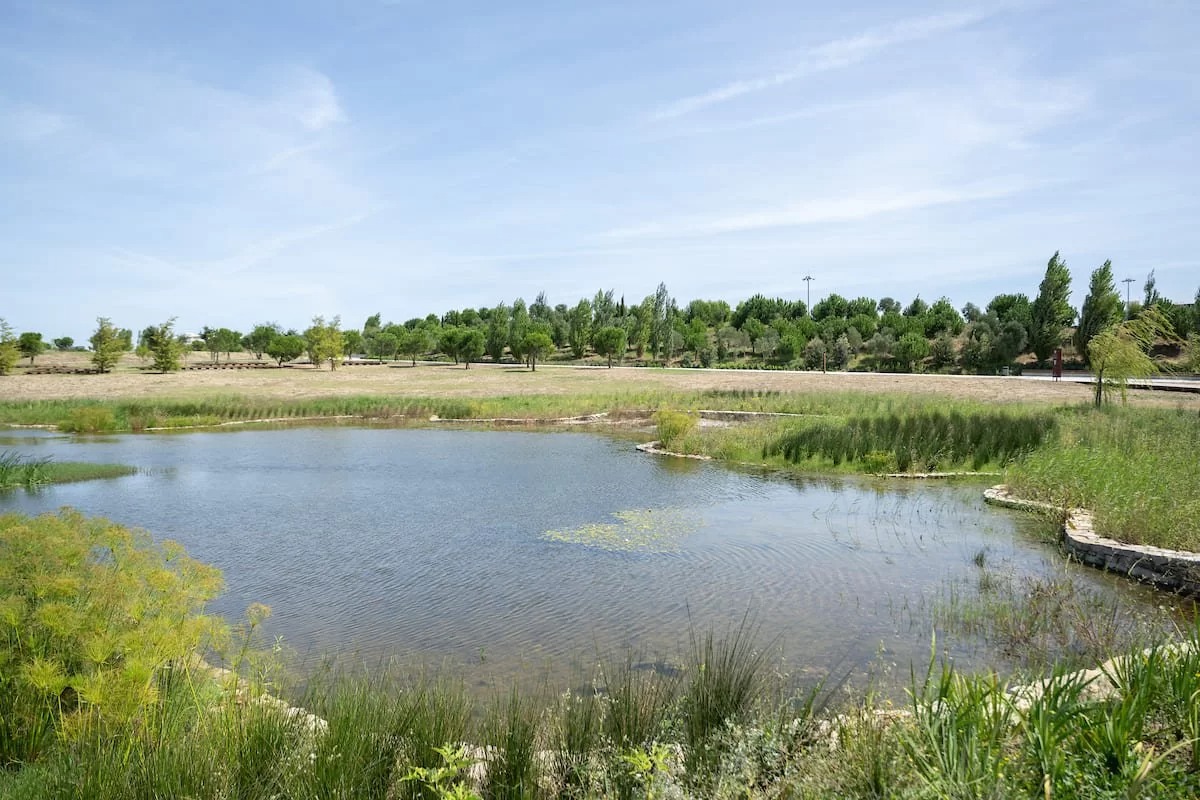 terreno abandonado em carnide