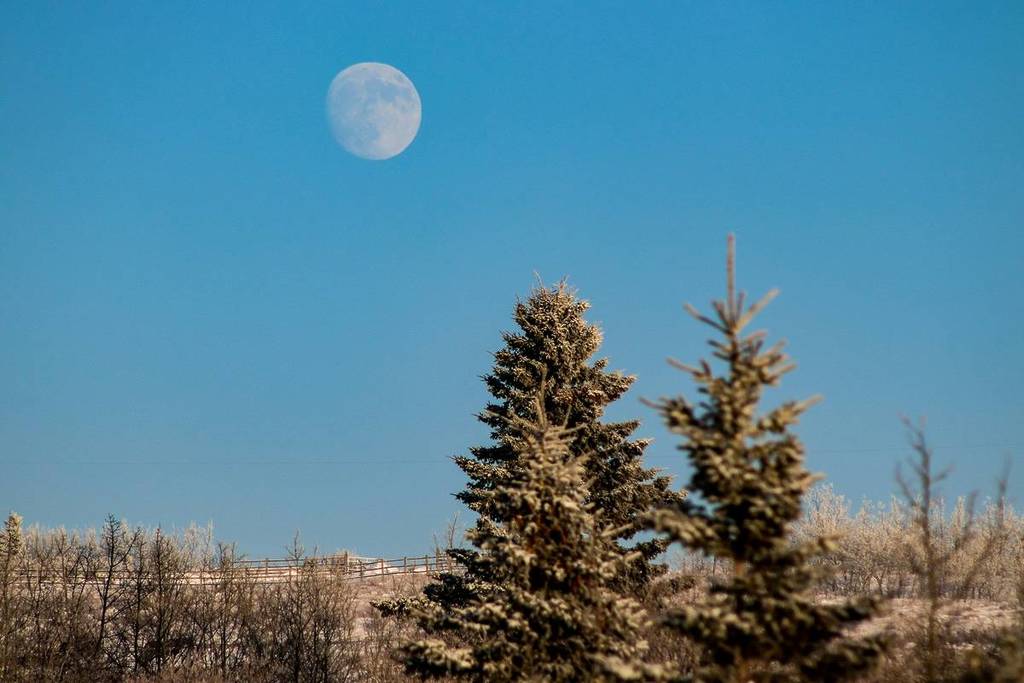 A última Superlua do ano coincide com a Lua Fria