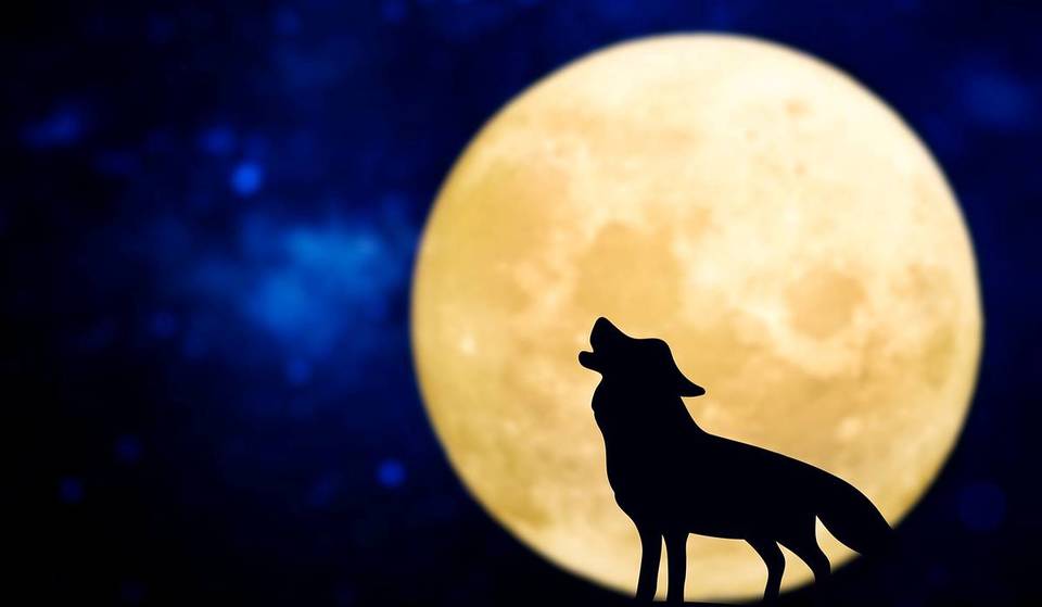 Lisbon’s sky is preparing to welcome a much-anticipated phenomenon: the arrival of the first Supermoon of 2026