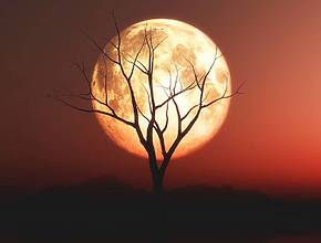 O calendário astronómico de 2026 reserva 13 Luas Cheias e três Superluas: sabe quando ver cada um destes espetáculos