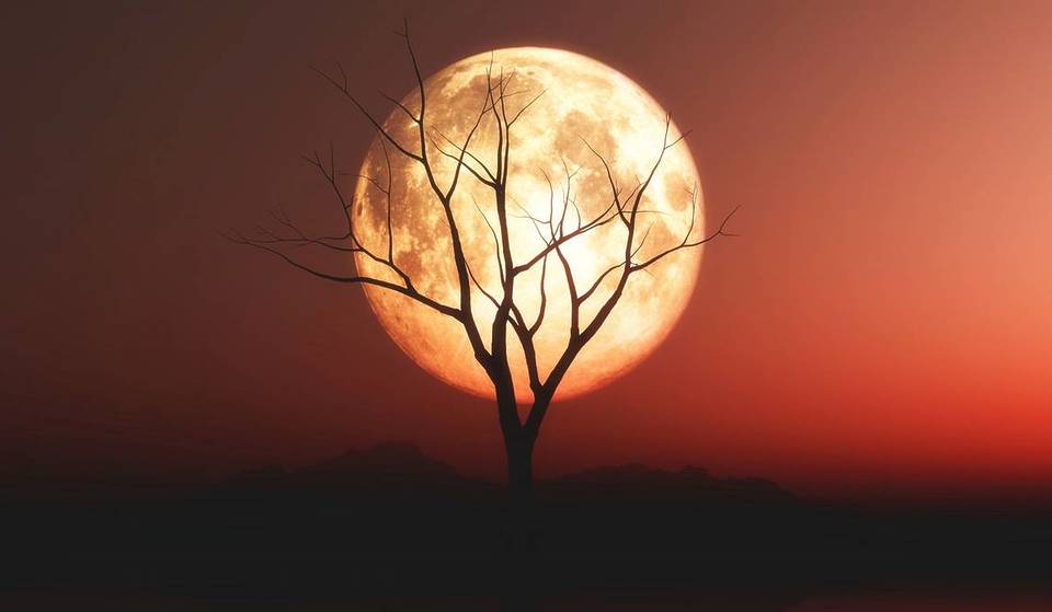 The 2026 astronomical calendar reserves 13 Full Moons and three Supermoons: find out when to see each of these spectacles