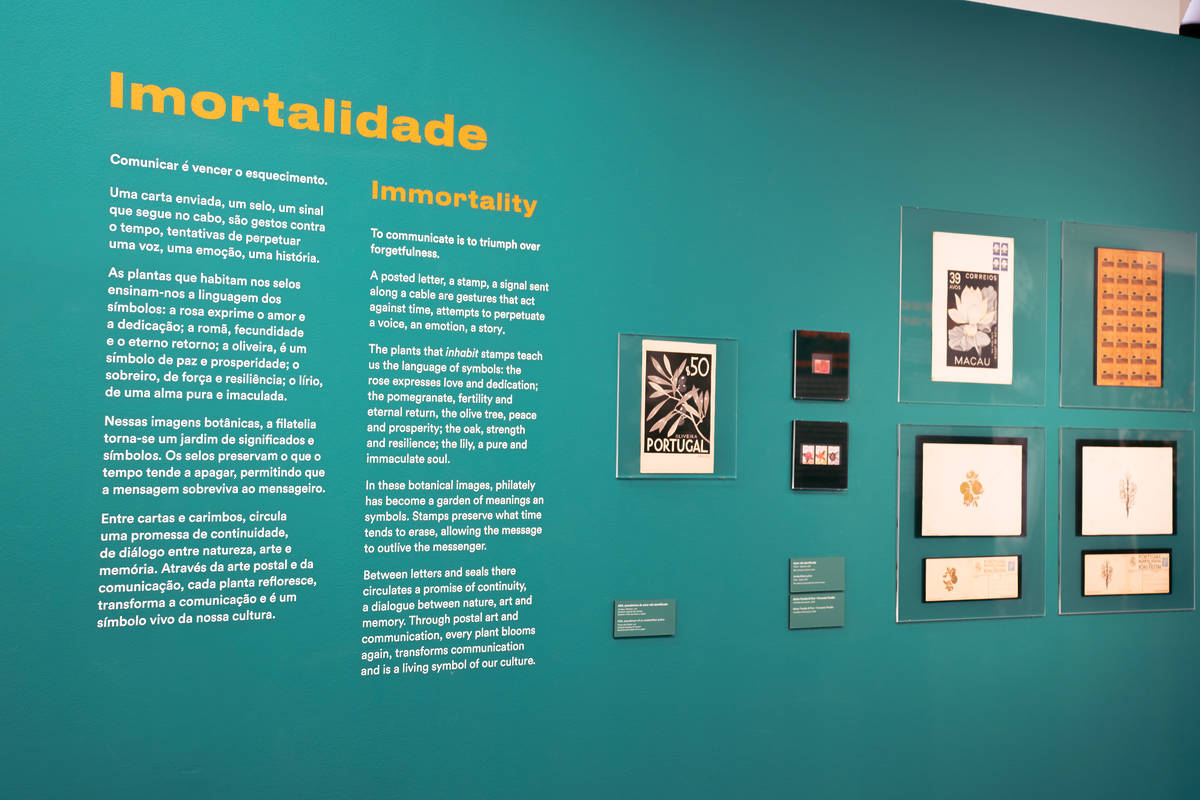 exposição Comunicar é Natural no Museu das Comunicações