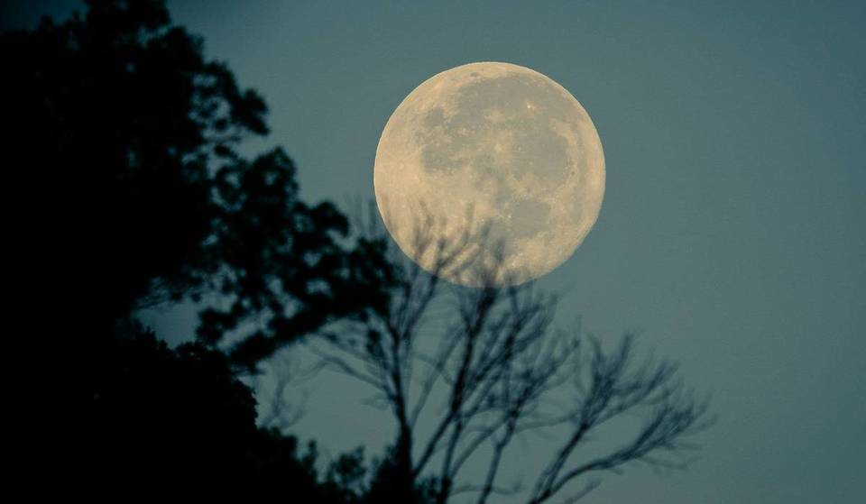 What does “Snow Moon” mean? The astronomical phenomenon that will light up the sky across the country this Sunday